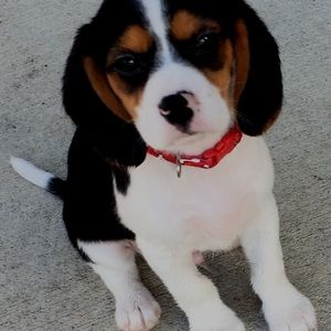 Meet your Posher, Vince